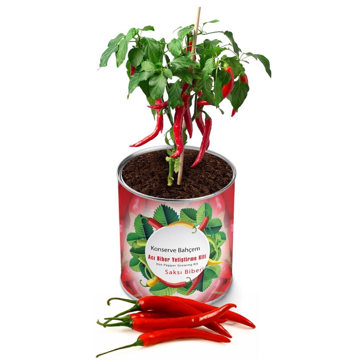 Konserve Bahçem Evde Konservede Acı Saksı Biberi Yetiştirme Kiti