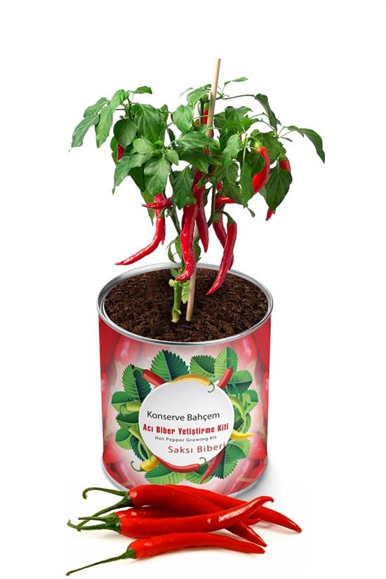 Konserve Bahçem Evde Konservede Acı Saksı Biberi Yetiştirme Kiti