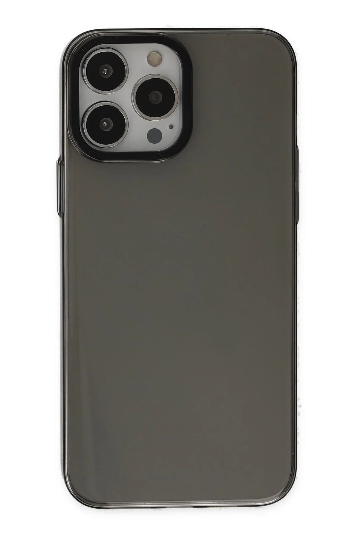 Newface iPhone 13 Pro Kılıf Anka PC Sert Metal Kapak - Siyah