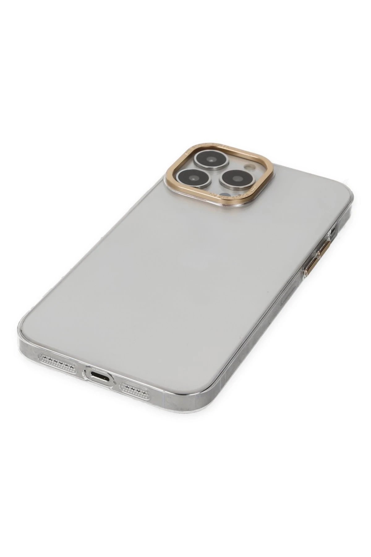 Newface iPhone 13 Pro Kılıf Anka PC Sert Metal Kapak - Şeffaf