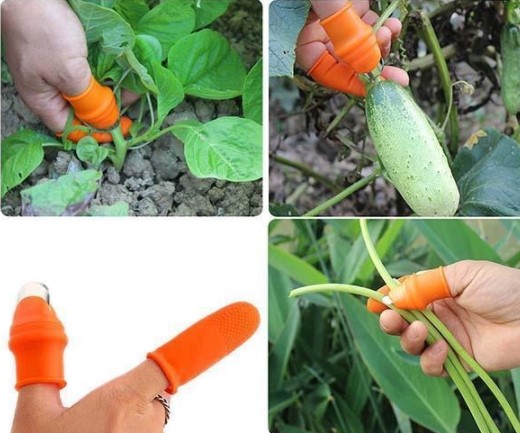 Pratik Baş Parmak Sebze Kesme Ayıklayıcı