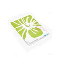 ÇİF KANAT PVC BANYO PERDESİ 2  PARÇA  X 90X180CM - 12 HALKALI
