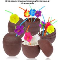 Hindistan Cevizi Hawaii Luau Aloha Pipetli İçecek Kabı Bardak 10x13 cm 1 Adet
