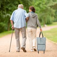 Katlanabilir Tekerlekli Market Çantası,Çok Amaçlı Pazar Arabası,Portatif Alışveriş Bez Torbası