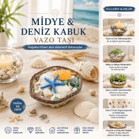 KÜÇÜK - KARE - AHŞAP SEPETLİ RENKLİ MİX MİDYE - DENİZ KABUK VAZO TAŞI