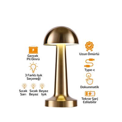 OVAL - METAL MANTAR MASA LAMBASI DOKUNMATİK - RENKLİ TYPE-C ŞARJLI 3 FONKSİYONLU YL86-1231