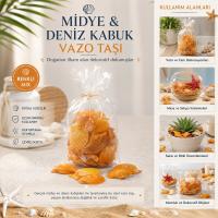 POŞETLİ RENKLİ MİX MİDYE - DENİZ KABUK VAZO TAŞI