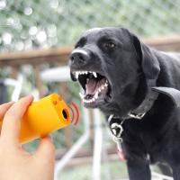 Ultrasonik Köpeksavar Köpek Kovucu Köpek Kornası Eğitim Cihazı