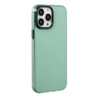 Newface iPhone 13 Pro Max Kılıf Anka PC Sert Metal Kapak - Yeşil