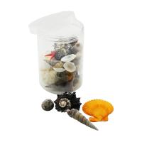 PLASTİK KAVANOZ  MİDYE DENİZ KABUK VAZO TAŞI