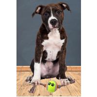 Renkli Halat Ve Tenis Toplu Yumaklı Köpek Çekiştirme Halat Oyuncağı