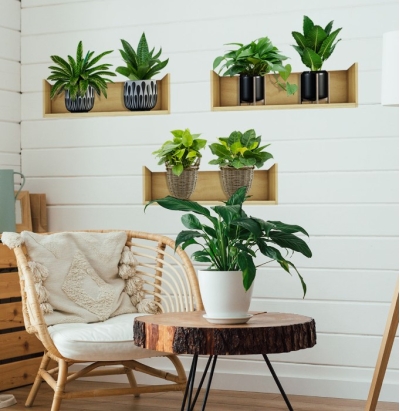 Raflı Bitki Tasarımlı Yapışkanlı Sticker 20*30 cm 3lü Set